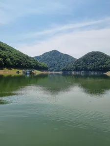 사오리 낚시터 조황정보