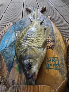 목벌낚시터 "좋아요"