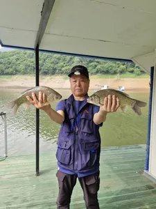 사오리 낚시터 조황정보