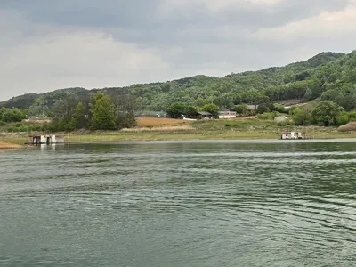 청풍 한버들 조황입니다