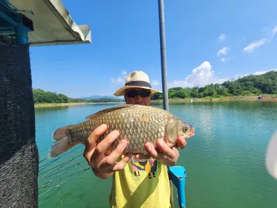 돌감낚시터 붕어조황입니다.