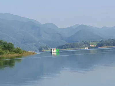 용곡 김기호 낚시터 조황정보 입니다