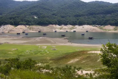 솔낚시터 나왔다 사짜!! 조황소식입니다~