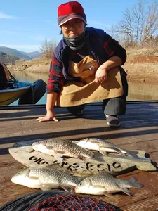돌감낚시터 붕어조황입니다.