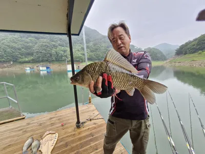 사오리낚시터 조황정보