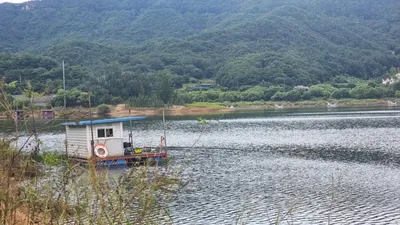 솔낚시터 조황소식 입니다