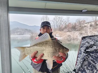 돌감낚시터 붕어조황입니다.