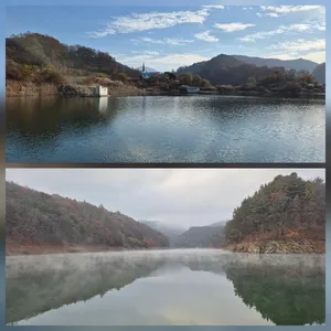 청풍신리낚시터 조황입니다