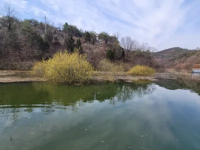 청풍실리곡낚시터 허리급 조황입니다.