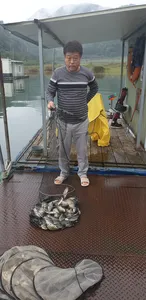 충주호 짱가네낚시터 