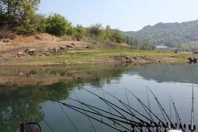솔낚시터 사짜 및 허리급 월척 조황소식입니다.
