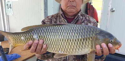 충주호 짱가네낚시터 