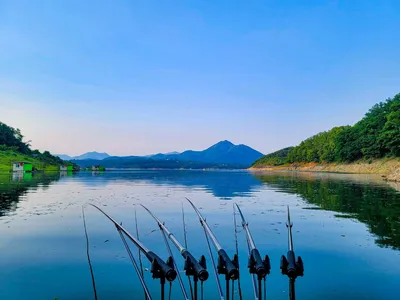 김기호낚시터 허리급 조황 안내