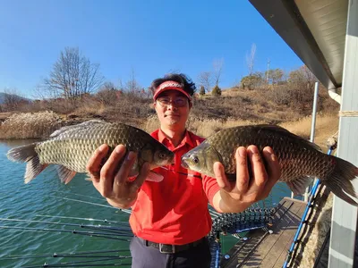 돌감낚시터 붕어조황입니다.