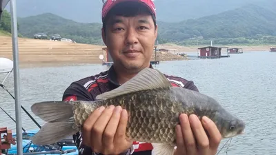 솔낚시터 사짜 조황소식 전합니다~