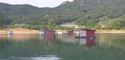 솔낚시터 조황입니다.!