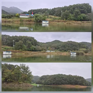 청풍신리낚시터 조황입니다