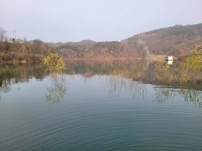 청풍실리곡낚시터 허리급 조황입니다.