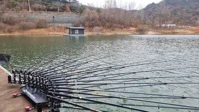 솔낚시터 사짜 및 허리급 조황 소식입니다.