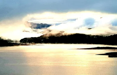 초여름에 때아닌 추위에도 대물은 움직인다.