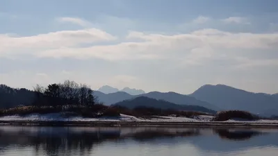 청풍호 한버들 조황입니다