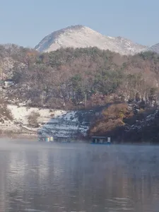 사오리 낚시터 조황정보