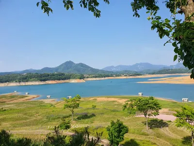 용곡 김기호 낚시터 주말 조황정보 입니다