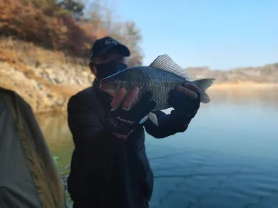 돌감낚시터 4짜 조황입니다.