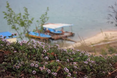 솔낚시터 사짜 및 허리급 조황소식입니다.
