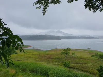용곡 김기호 낚시터 조황정보 입니다