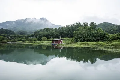 솔낚시터 오름수위 사짜조황 소식입니다