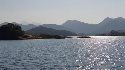 한버들 조황입니다