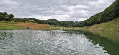 청풍신리 조황입니다