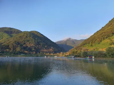 용곡 김기호 낚시터 조황정보 입니다