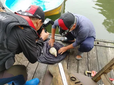 돌감낚시터 조황입니다.