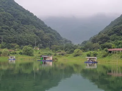 용곡 김기호낚시터 사짜 조황 입니다
