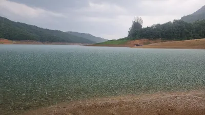 솔낚시터 조황 소식입니다.