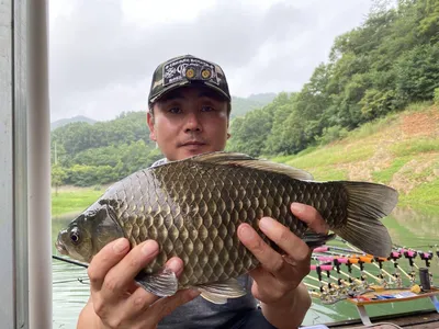 돌감낚시터 4짜 및 붕어조황입니다.