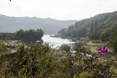 솔낚시터 조황소식 입니다.