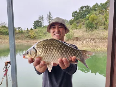 돌감낚시터 붕어조황입니다.