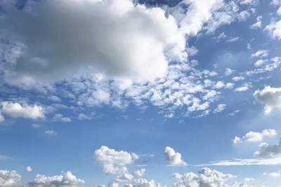 솔낚시터 조황입니다