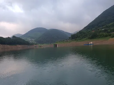 용곡 김기호 낚시터 조황정보 입니다