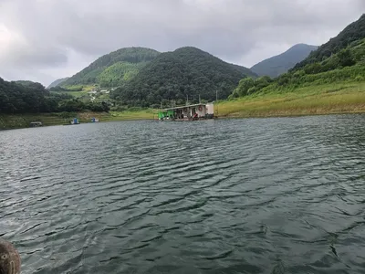 용곡 김기호 낚시터 조황정보 입니다