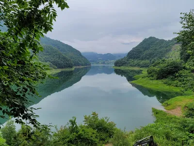 실리곡낚시터 4짜외 허리급 조황입니다.