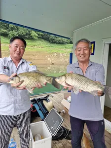 사오리낚시터  조황정보