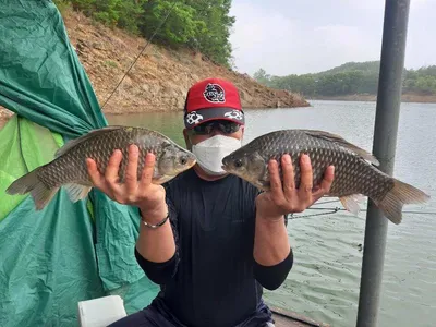 돌감낚시터 조황입니다.