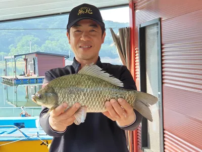 솔낚시터 4짜와 마릿수 조황입니다