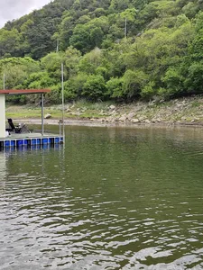 사오리 낚시터 조황정보