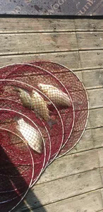 충주호 짱가네낚시터 