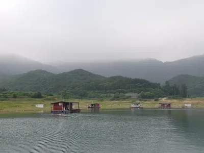 솔낚시터 4짜 대물붕어 조황소식 전합니다!